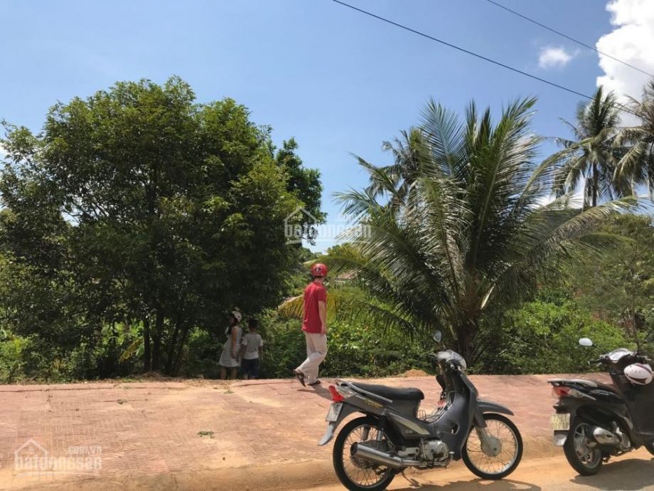 cuc hiem lo dat 2 mat tien tai con dao ngay trung tam gan cho thich hop xay nha hang khach san