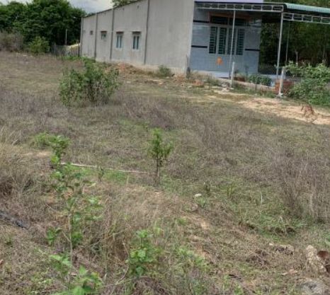 gia dinh ket von lam nha nen ban gap lo dat