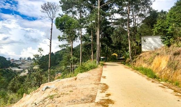 ban dat phuong 1 da lat view rung thong