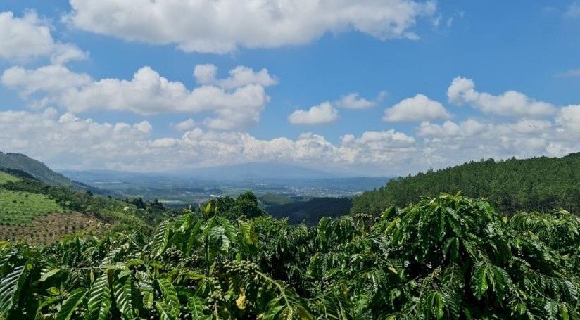 ban lo dat view dep nhin toan canh tt dinh van