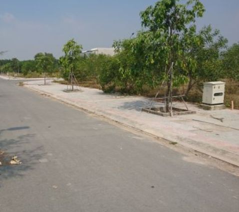 ban dat phu my khu tdc tan phuoc duong doi co hang xanh truoc dat