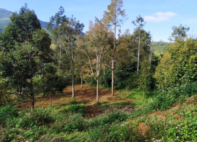 lo duy nhat trung tam bao loc