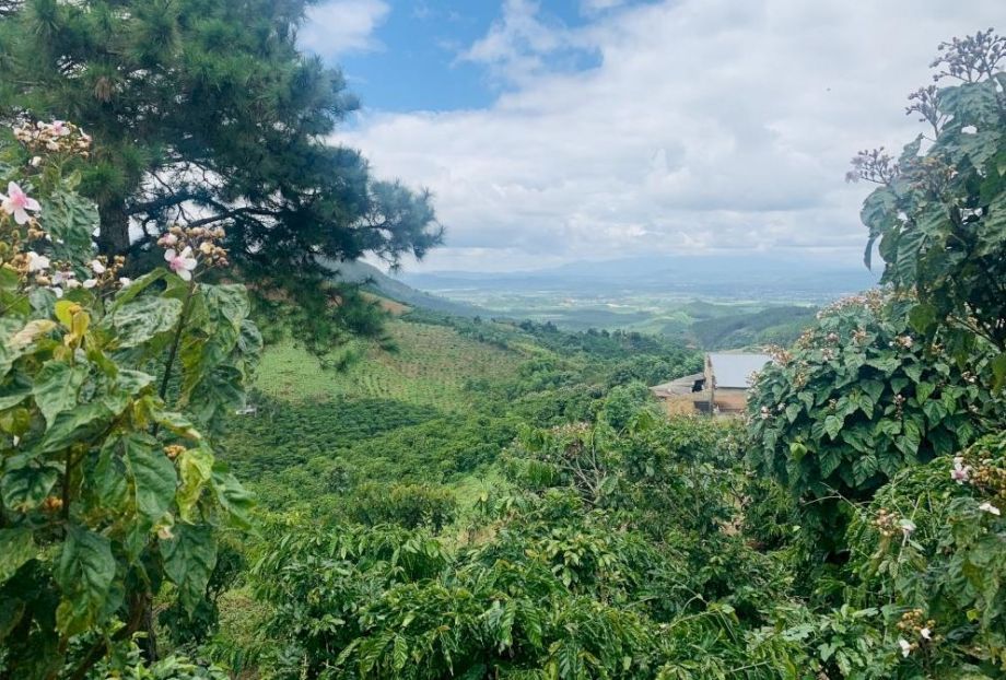 ban gap lo dat rong 5500 m2 tai dinh van