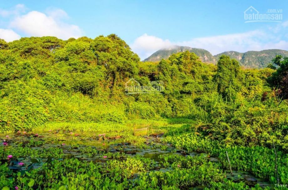 can ban khu dat  da co nha  mat tien 20 met duong huynh thuc khang