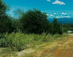 can ra di nhanh dat nen hong thai cach bien 3km gia 400tr