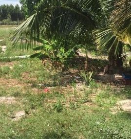 ban 600m2 dat duong nhua dep binh chau xuyen moc ho tram gan novaworld ho tram