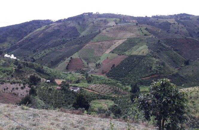 ban nhanh lo dat 4200m2 tai ta nung