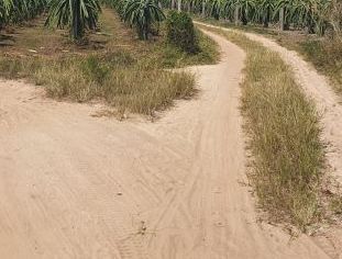 ban dat 1383 m2 tai duong ven bien binh chau   xuyen moc