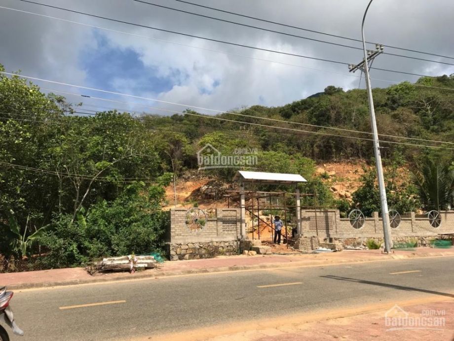 gia dinh chuyen dinh cu nuoc ngoai ban cat lo gap dat thi tran con dao cach bien khoang 1km