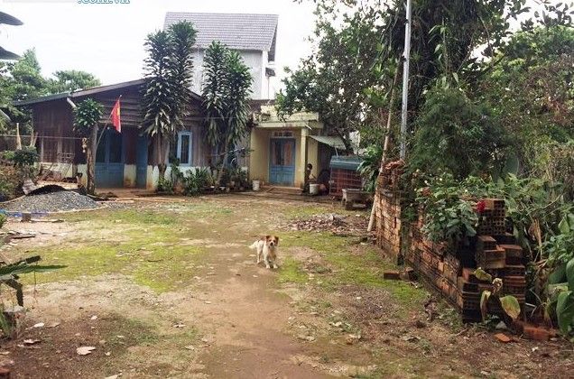 ban lo dat rong xa ta nung