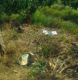 ban 3 9 mau dat tai xa bong trang huyen xuyen moc tinh brvt