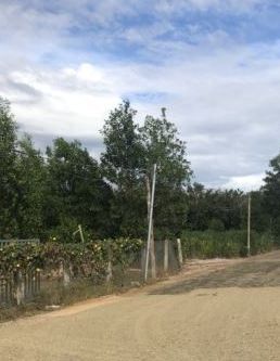 ban dat so rieng ven bien binh chauxuyen moc brvt1000m2 gia 123tr m2 1 5tr m2