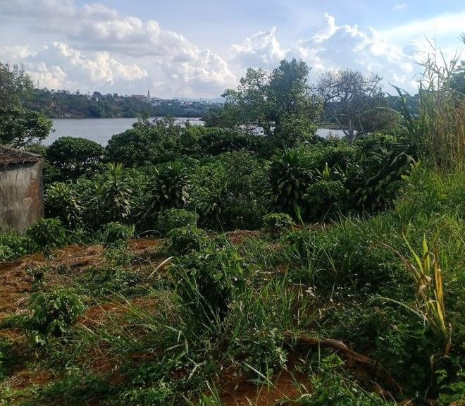 2 000m2 view ho nam phuong phuong loc phat  tp bao loc gia 16 ty