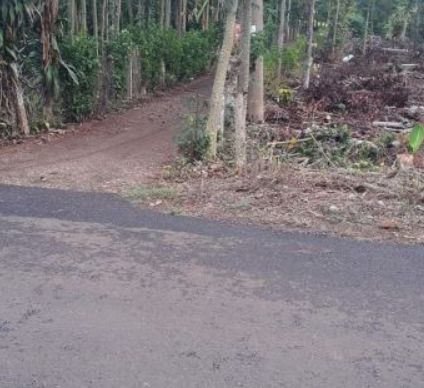 ban dat lo goc 2 15x45m co 100m2 tc mt duong lang lon   kim long gia 2 1 ti