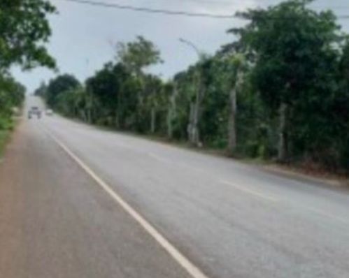 ban dat re nhat thi truong cho nha dau tu kinh doanh quoc lo 562 mat tien