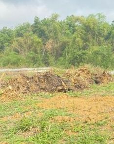 dat nong trai binh thuan ven bien sat nova world