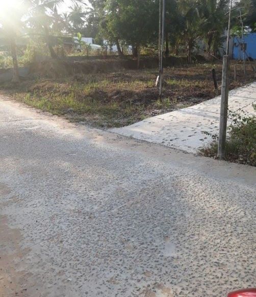 lo goc 650 m2 dat trung tam du lich cach bien chua toi 1km