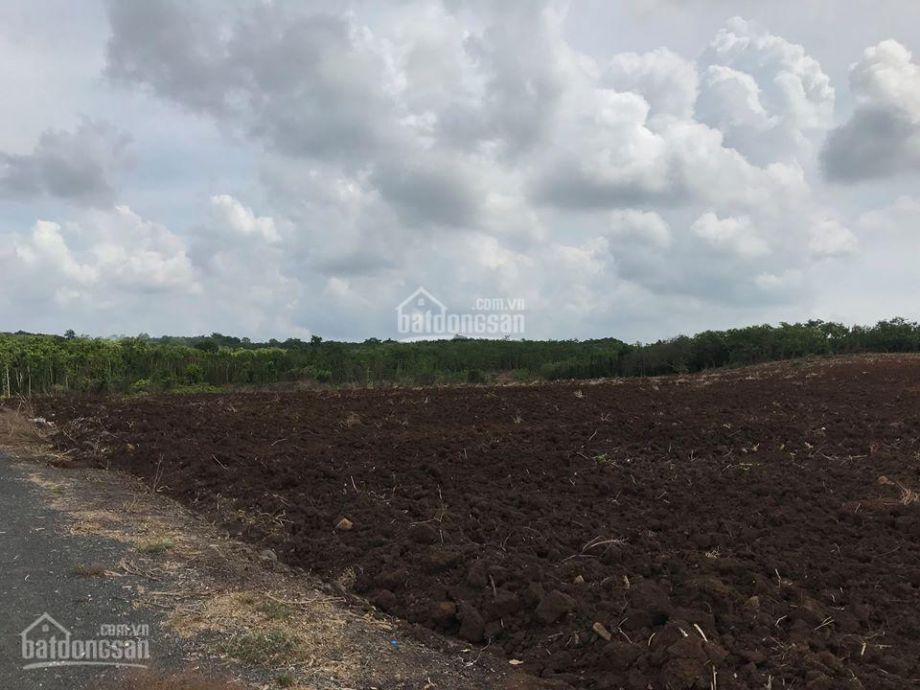 can ban manh dat nha vuon 8341m2 tan lam xuyen moc gia 450tr  sao