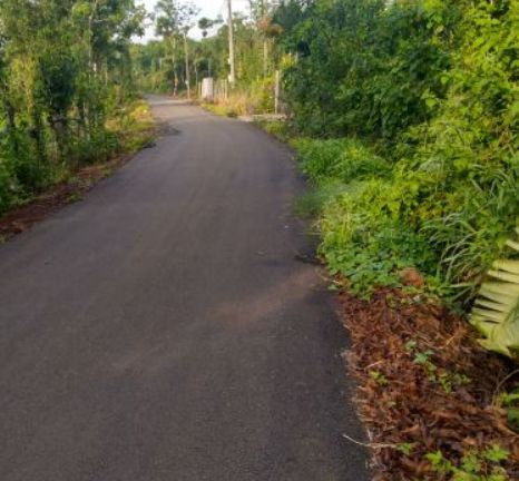 can ban dat vuon va nha yen vuon cay