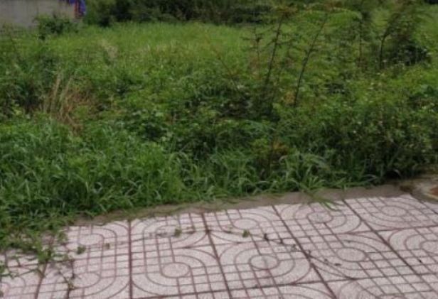 ban dat co thac va suoi tai xuan son