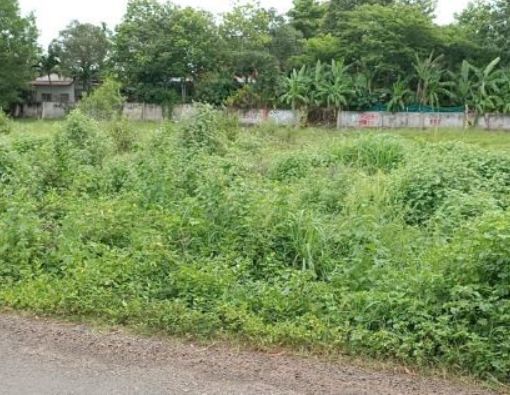 ban gap dat mat tien nam ki khoi nghia