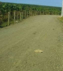 can ban 1008m2 dat mt duong nhua ho tram brvt 15 ty shr