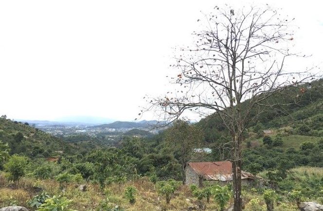 ban 1900m2 dat nghi duong me linh