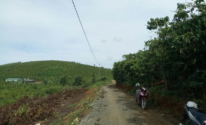 can tien thanh toan cho ngan hang cuoi nam ban lo dat view dep suoi gia 600tr 550m2 bao loc