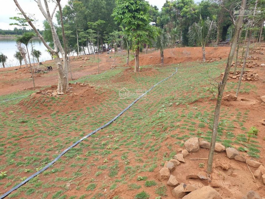 ban dat nghi duong cao cap mat tien ho lon tai chau duc