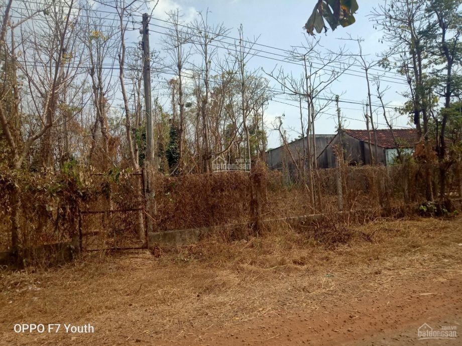 can ban dat hoa binh gia dau tu dt 27x50m cay lau nam gia 110tr  tl