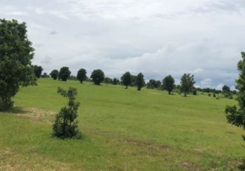 so huu 8160m2 dat vuon tt luong son chi 487tr