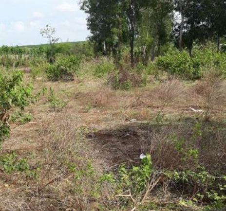 ban gap 10x31m dat co 100m2 tc mt duong 21 noi dai xa da bac gia chi 1 25 ti