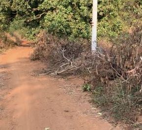 ban 1 mau 4 dat mat ho song ray xa bau lam huyen xuyen moc tinh ba ria vung tau