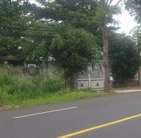 ban nhanh lo goc mat tien quoc lo 55   cach ho tram 7 phut xe may  1000m2 co 150 tho cu