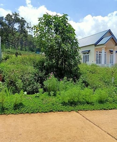 ban 5000m2 dat o xa me linh lam ha lam dong