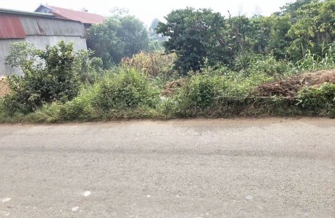 can ban dat mat tien tai dinh van lam ha lam dong