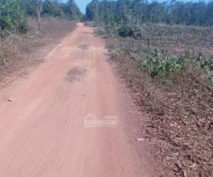 ban 7 7 sao dat xa hoa hoi gia 270 trieu sao lien ke kcn   do thi   dich vu xuyen moc 1 143ha