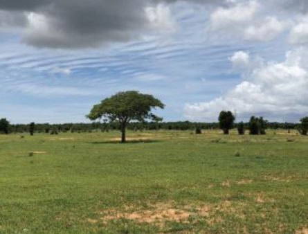 ban dat vuon du lich phan thiet