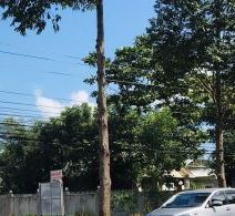 can ban nhanh 1000m2 mat tien ql55 ngay tt bong trang mat tien 20m co tho cu phan lo