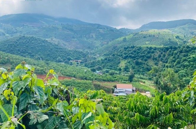 ban dat tai du an khu do thi moi dinh van