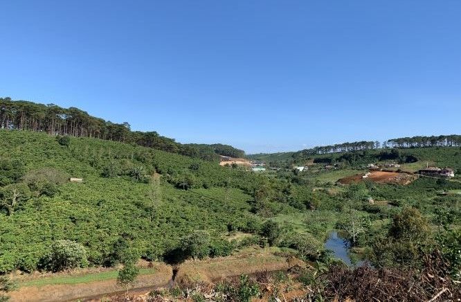 dat o nga 5 dambri 800 trieu sao