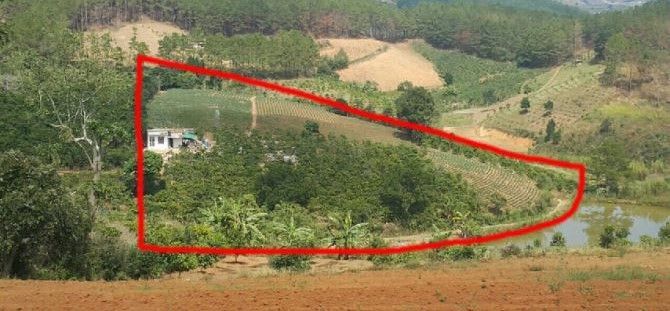 chinh chu can ban dat ta nung da lat