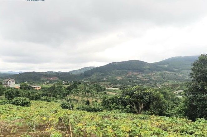 ban nhanh 2000m2 dat xa dong thanh view doi nui