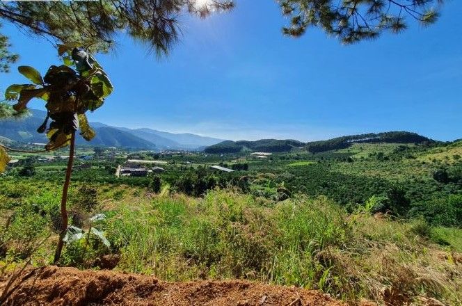 ban dat giap thong 400 m2 tho cu gan da lat va san bay lien khuong
