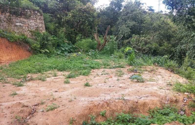 ban lo dat xay biet thu nghi duong khu biet thu an son thanh pho da lat