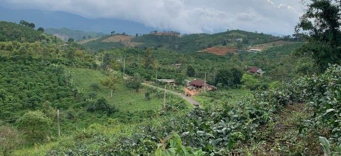 dat nghi duong sinh thai 270m2 tran nhat duat
