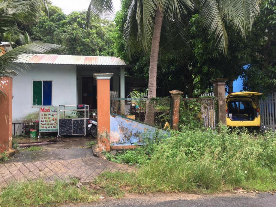 ban lo lo dat duong huynh thuc khang tang them 500m2 sau nha trong rau con dao