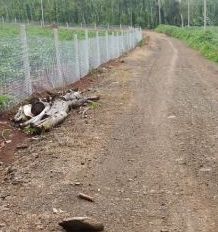 ban gan 4000m2 dat duong nhua toi 80m nhin ho song ray tuyet dep gia 2 4 ty