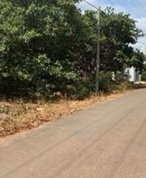 ban 7 sao ruoi phuoc tan xuyen moc brvt b796