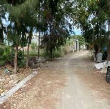 ban nhanh lo dat hem 5m duong luu chi hieu 80m2 huong dong nam chi 3 5 ty tl